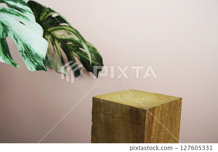 Wooden podium display scene stage showcase front view with copy space and monstera leaves decoration on pink background Wooden podium display scene stage showcase front view with copy space and monstera leaves decoration on pink background 127605331