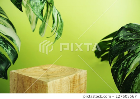 Wooden podium display scene stage showcase front view with copy space and monstera leaves decoration on green background Wooden podium display scene stage showcase front view with copy space and monstera leaves decoration on green background 127605567