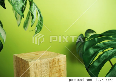 Wooden podium display scene stage showcase front view with copy space and monstera leaves decoration on green background Wooden podium display scene stage showcase front view with copy space and monstera leaves decoration on green background 127605568
