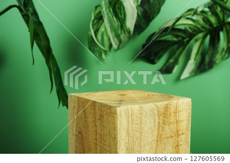Wooden podium display scene stage showcase front view with copy space and monstera leaves decoration on green background Wooden podium display scene stage showcase front view with copy space and monstera leaves decoration on green background 127605569