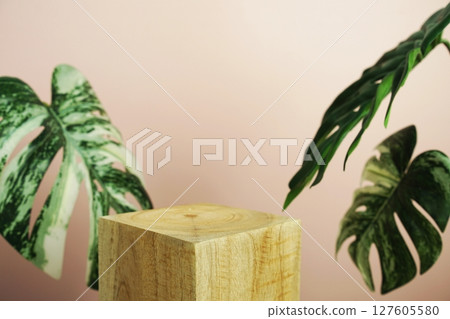 Wooden podium display scene stage showcase front view with copy space and monstera leaves decoration on pink background 127605580