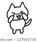Embarrassed cat 127605734
