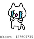 Crying cat 127605735