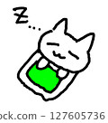Sleeping cat 127605736