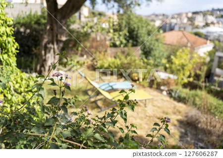 Discover a Tranquil Garden Retreat Featuring a Cozy Sunlit Lounger for Ultimate Relaxation Discover a Tranquil Garden Retreat Featuring a Cozy Sunlit Lounger for Ultimate Relaxation 127606287