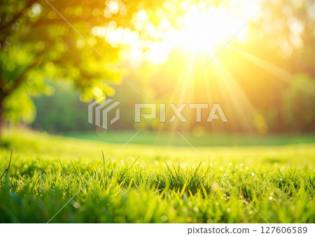 Green natural background material 127606589