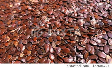 Close-Up of Abundant Dry Lamtoro Seeds. 127606724