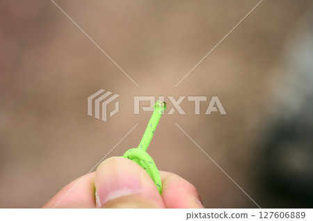 熱處理細繩 熱處理細繩 127606889