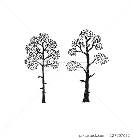 Big detailed Decorative tree graphic in hand drawn style Big detailed Decorative tree graphic in hand drawn style 127607022