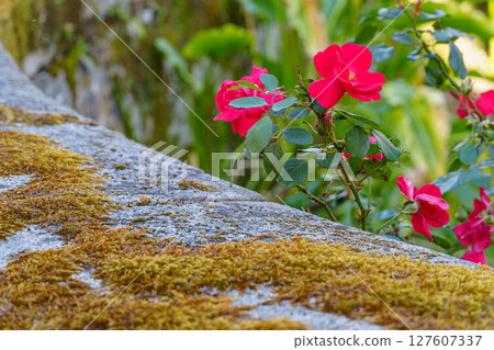 The city of Betanzos in Spain 127607337