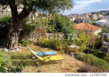 A Tranquil Garden View Featuring Elegant Lounge Chairs Overlooking a Scenic Cityscape A Tranquil Garden View Featuring Elegant Lounge Chairs Overlooking a Scenic Cityscape 127607548