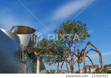 Bilbao in the spanish basque land 127607831