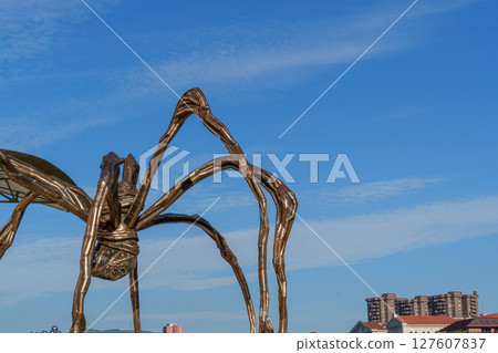 Bilbao in the spanish basque land 127607837