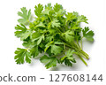 A bunch of fresh green parsley is displayed on a white background 127608144