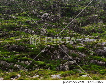 Irish countryside displays rocky terrain, vibrant green grass and overcast sky during the daytime in County Kerry. Irish countryside displays rocky terrain, vibrant green grass and overcast sky during the daytime in County Kerry. 127608827