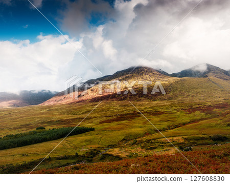 Landscape featuring mountains and lowlands in County Kerry, Ireland. Peaks and valleys are visible with trees in the background and some clouds in the sky near Carrauntoohill. Landscape featuring mountains and lowlands in County Kerry, Ireland. Peaks and valleys are visible with trees in the background and some clouds in the sky near Carrauntoohill. 127608830