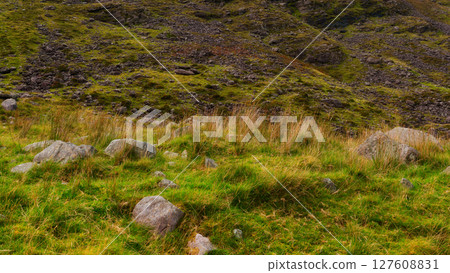 A scenic grassy landscape with some rocks is viewed during the daytime. A hillside is partially visible in the background. The location is County Kerry in Ireland. A scenic grassy landscape with some rocks is viewed during the daytime. A hillside is partially visible in the background. The location is County Kerry in Ireland. 127608831