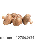 Fresh Shiitake Mushrooms on White Background 127608934