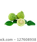 Fresh Kaffir Lime with Leaves and Sliced Half on White Background 127608938