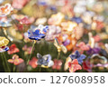 A Beautiful Array of Colorful Blooming Flowers Set in a Lush and Inviting Garden Environment 127608958
