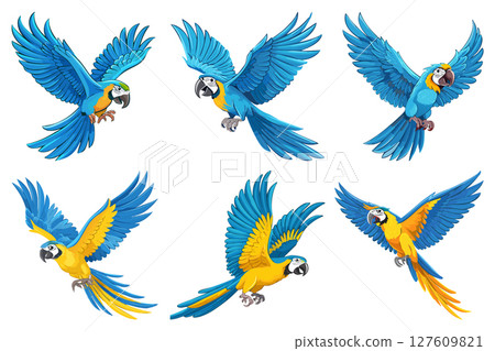 A cartoon Macaw with its wings spread out, Scarlet macaw flying, cartoon bird of tropical jungle, Big yellow and blue parrot, flight of cartoon blue and gold macaw, set 127609821