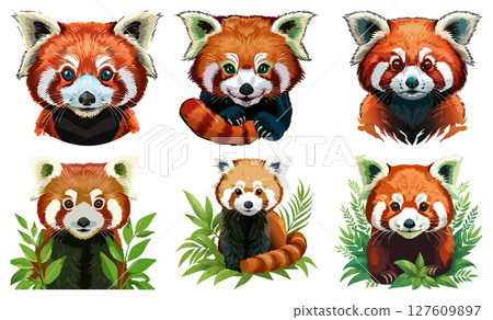 Red panda (Ailurus fulgens) lesser panda, Crimson Guardian of the Forest little Red Panda, set Red panda (Ailurus fulgens) lesser panda, Crimson Guardian of the Forest little Red Panda, set 127609897