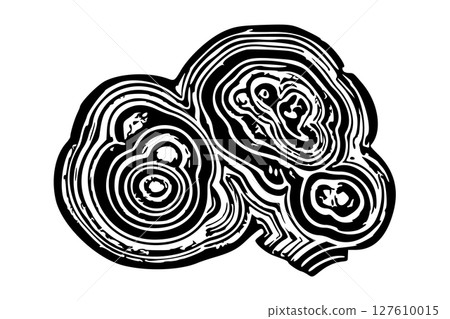 Abstract Black and White Geode Slice Illustration Showing Concentric Circular Layers 127610015