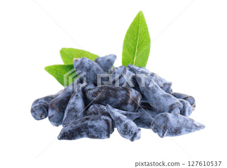 Honeysuckle berry isolated on white background. Fresh honeysuckle blue berry fruits with green leaves. Clipping path. 127610537