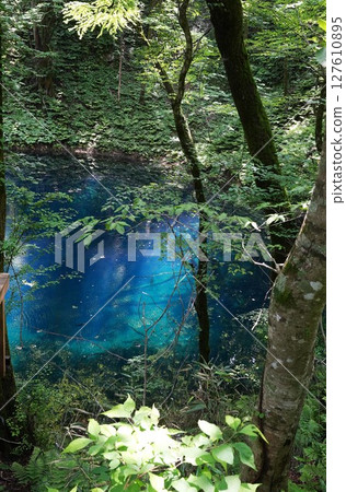 Blue pond reflected in the forest 127610895