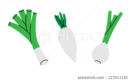 Spring onions, radish, onion. Fresh organic vegetables. Vector illustration Spring onions, radish, onion. Fresh organic vegetables. Vector illustration 127611185