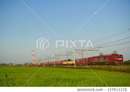 Cargo EH500 127611238