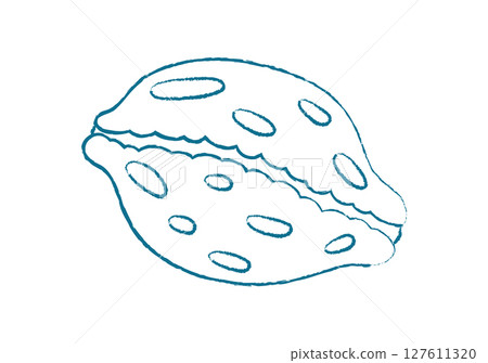 Chalk crayon seashell shape. Unique seashell form in doodle style. Underwater marine creature, graphic texture, potential for summer themes or aquatic designs. Chalk crayon seashell shape. Unique seashell form in doodle style. Underwater marine creature, graphic texture, potential for summer themes or aquatic designs. 127611320