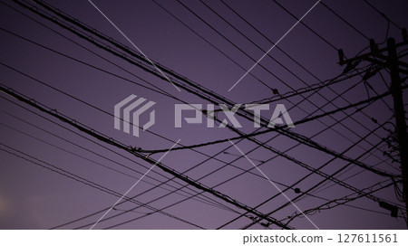 Twilight sky and countless electric wires 127611561