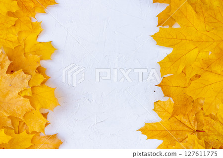 Autumn leaves frame on white background top view 127611775
