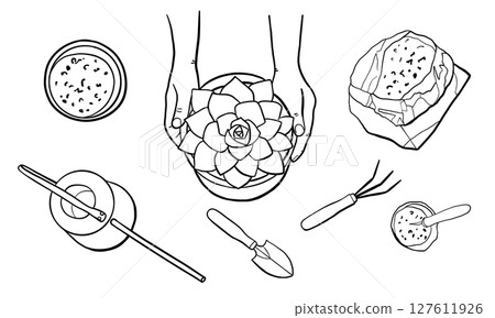 Human Hands Holding Succulent Houseplant in a Pot. Hand Drawn Line Vector Illustration 127611926