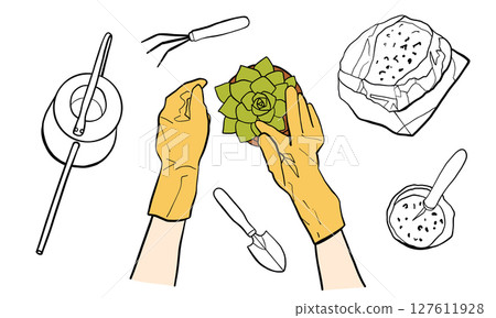 Hands of a person in gloves replanting a succulent houseplant in a pot 127611928