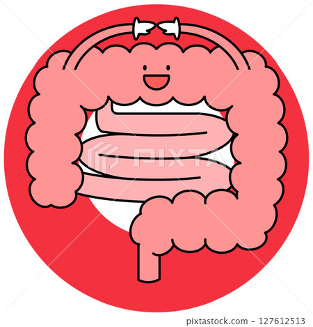 Correct intestine illustration 127612513