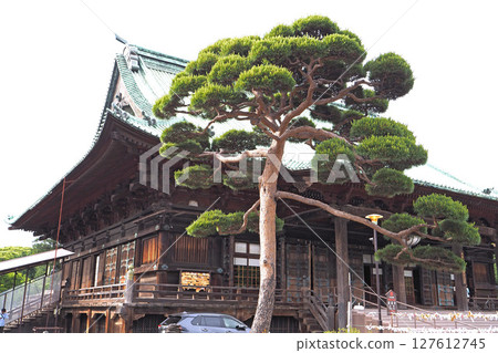 Gokokuji Temple's Kannon Hall (Main Hall) [Bunkyo Ward, Tokyo] 127612745