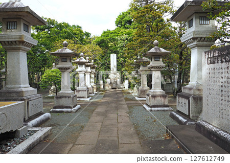 Gokokuji Temple [Bunkyo Ward, Tokyo] 127612749