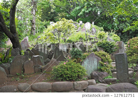 護國寺的富士塚（音羽富士）[東京都文京區] 127612751