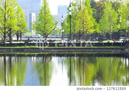 和田倉門附近的銀杏樹大道在護城河中倒映得惟妙惟肖。 127612889