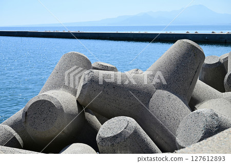 四足動物:防波堤,用於防禦海浪 四足動物:防波堤,用於防禦海浪 127612893