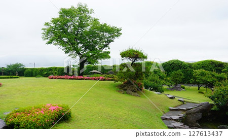 Sengonen Garden Sengonen Garden 127613437