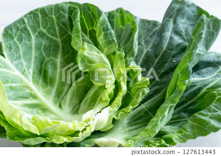 高麗菜外葉 127613443