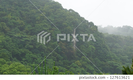 Chihiro Iwao 127613621