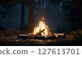 Bonfire in the dark forest 127613701