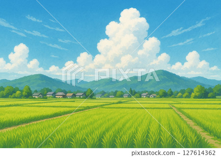 夏天藍天和米領域 127614362