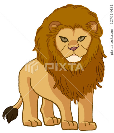 lion 127614481