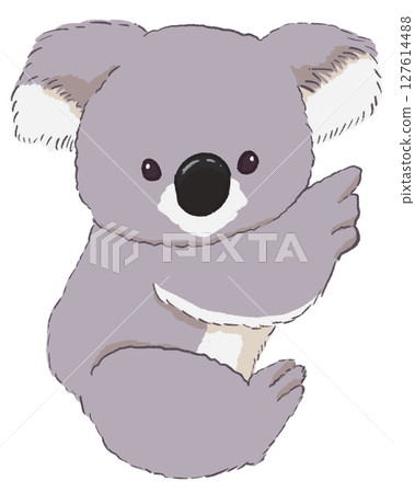 Koala Koala 127614488