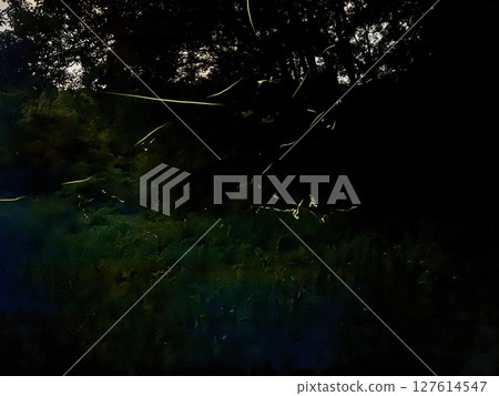 Genji firefly dancing 127614547